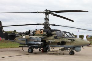 Аллигатор